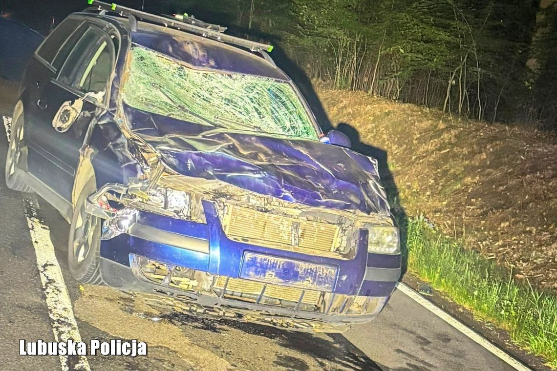 Takiego spotkania za kierownicą nikt nie chce. Doszło do groźnego zderzenia