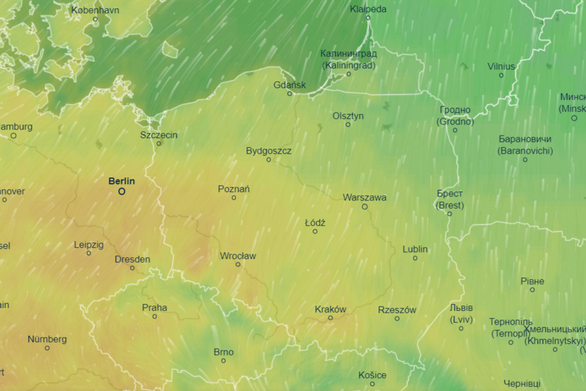 To już koniec zimy. Prognozy pokazują że od jutra wiosna.