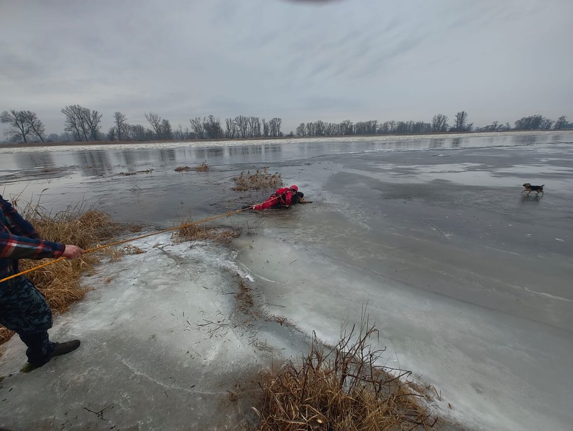 To wydarzyło się nad Odrą. Ostrzeżenie dla mieszkańców i właścicieli zwierząt
