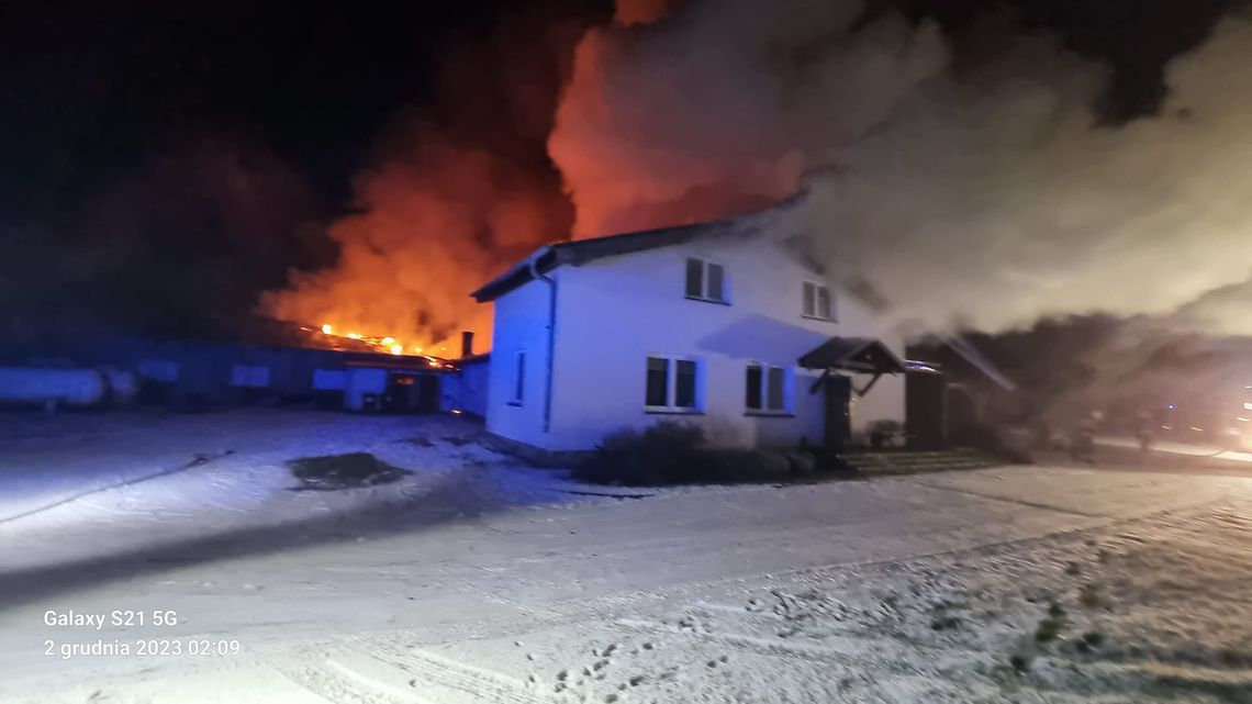 Tragiczny pożar kurnika. Zginęło blisko 6 tysięcy sześciotygodniowych indyków