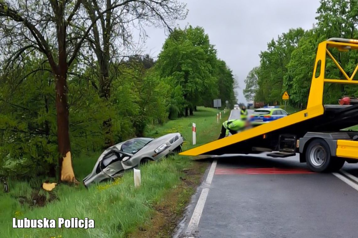 Volvo rozbiło się na drzewie. Badanie kierowcy wiele wyjaśniło