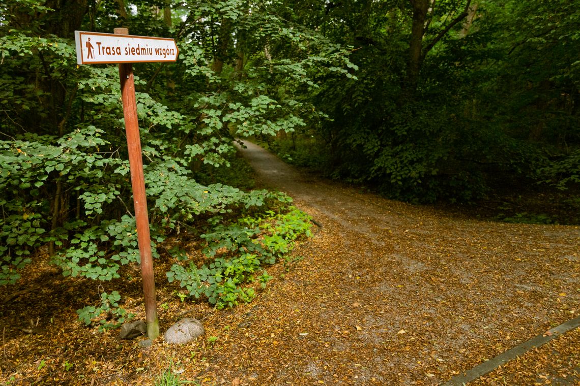 W Gorzowie powstanie nowy park leśny. 93 hektary zieleni dla mieszkańców