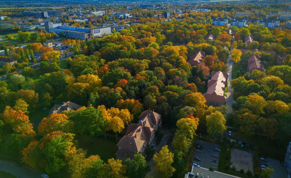 W Gorzowie rusza ważna zmiana dla mieszkańców. Nowa instytucja startuje od 1 kwietnia W Gorzowie rusza ważna zmiana dla mieszkańców. Nowa instytucja startuje od 1 kwietnia