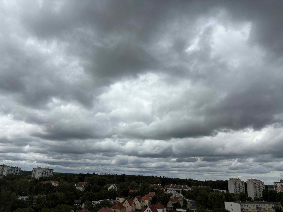 W tym temacie Gorzów nie podnosi cen. Dobra wiadomość dla domowego budżetu