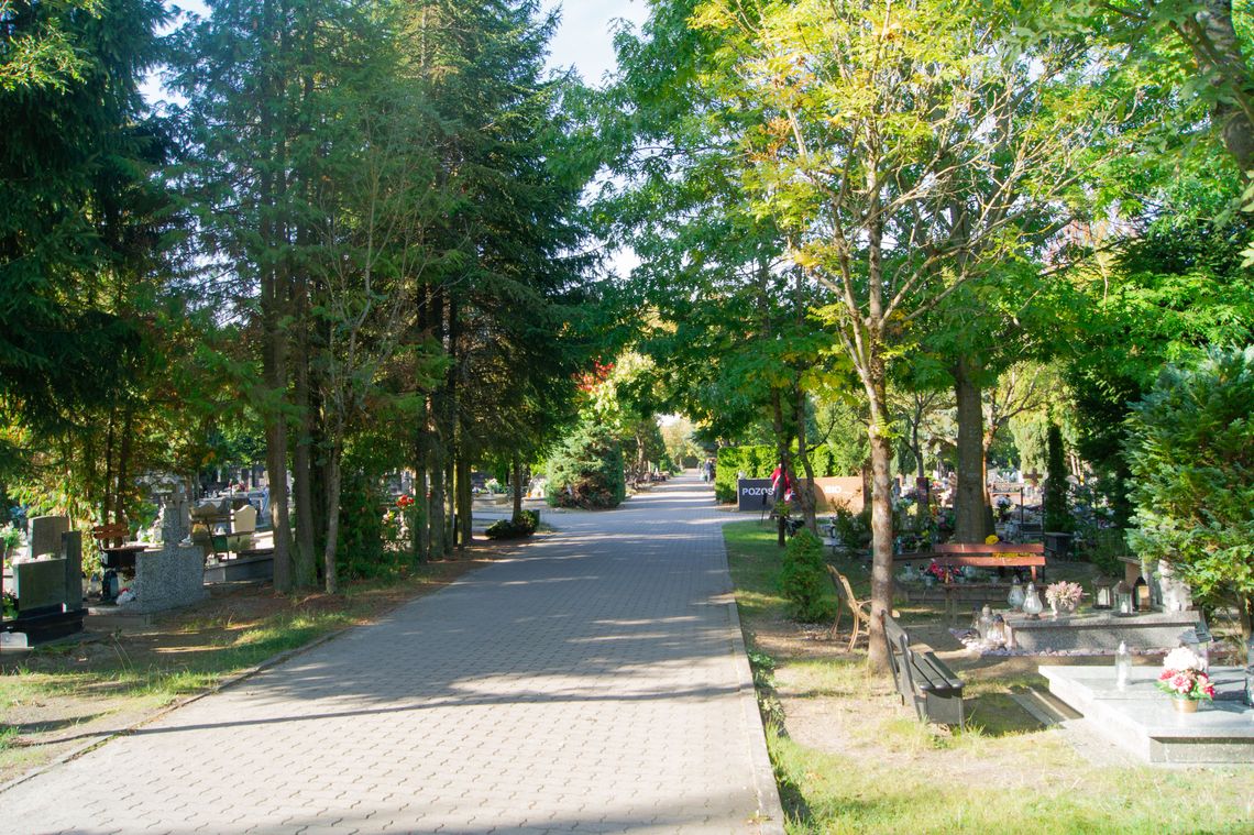 Wszystkich Świętych coraz bliżej. Na cmentarzu w Gorzowie znów dzieje się coś niepokojącego Wszystkich Świętych coraz bliżej. Na cmentarzu w Gorzowie znów dzieje się coś niepokojącego