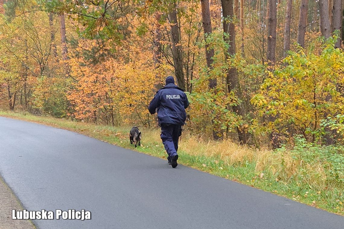 Wyszedł z domu i ślad po nim zaginął. Trwa wielka akcja poszukiwawcza w Lubuskiem Wyszedł z domu i ślad po nim zaginął. Trwa wielka akcja poszukiwawcza w Lubuskiem