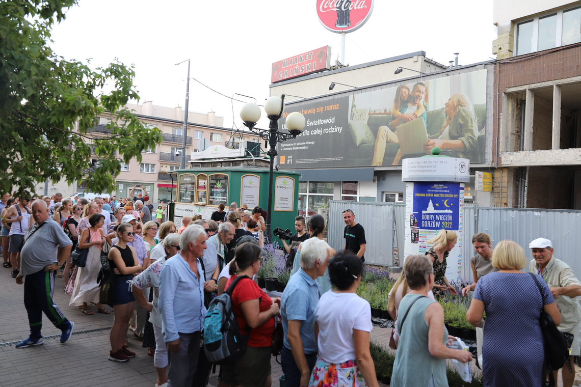 Za darmo! Lawenda, wrzośce, wrzosy, perowskia … przyjdź a dostaniesz