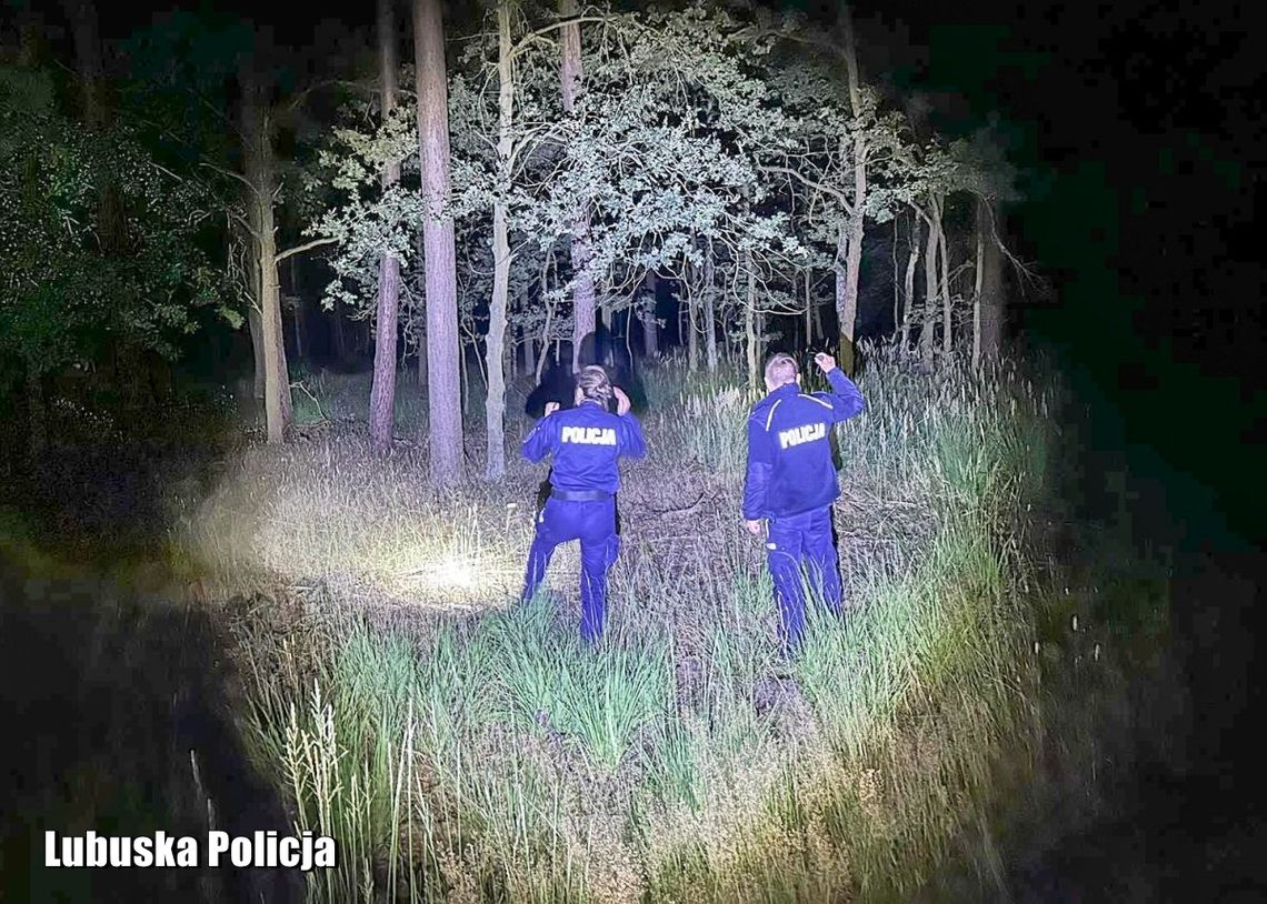 Zagubieni w lubuskich lasach. Co roku są nowe akcje poszukiwawcze