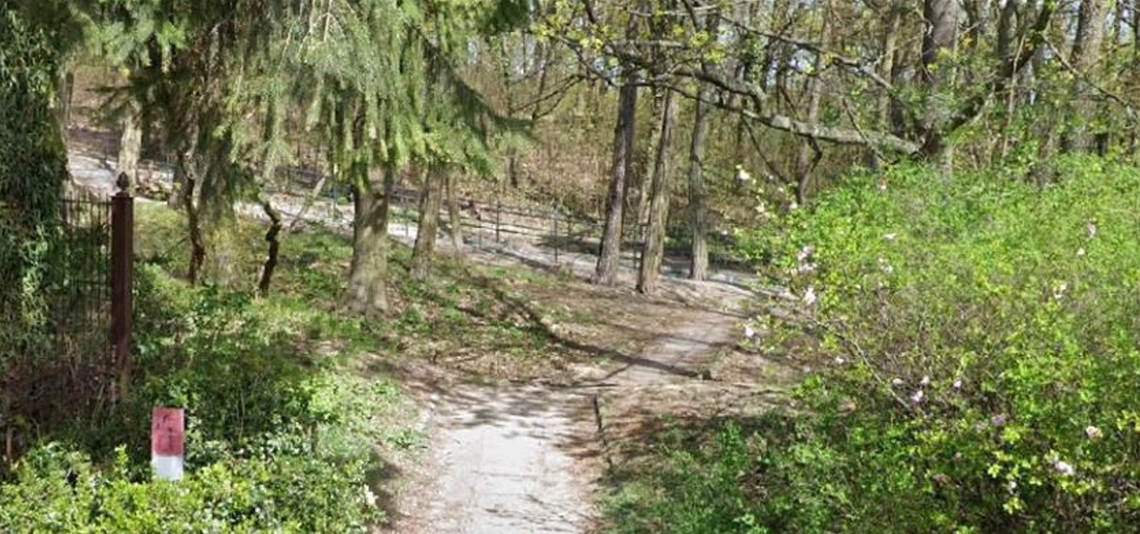 Zmiany w jednym z parków w Gorzowie. Miasto ogłosiło przetarg Zmiany w jednym z parków w Gorzowie. Miasto ogłosiło przetarg