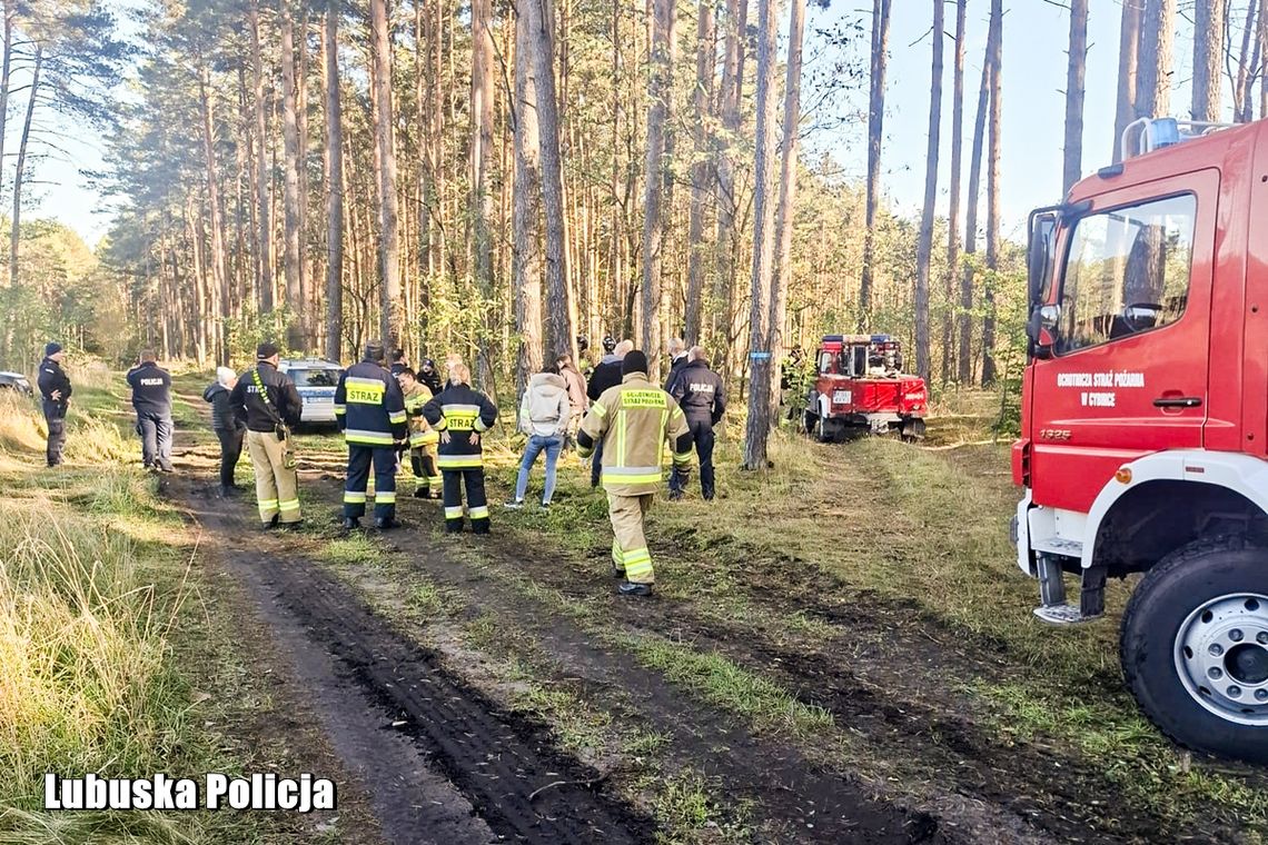 Zniknął po wyprawie na grzyby. Intensywna akcja służb