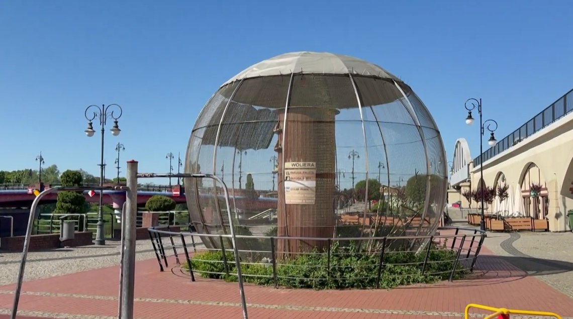 Zniknie znany element, pojawi się więcej zieleni. Co szykują w ramach zmian?