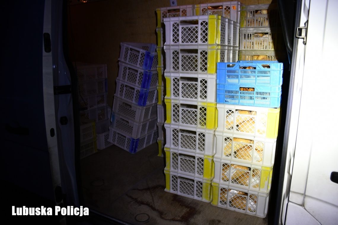 Zuchwała kradzież nad ranem. Policja szybko zareagowała