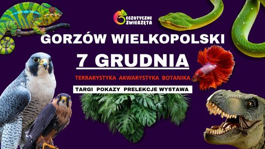 Egzotyczne Zwierzęta - wystawa