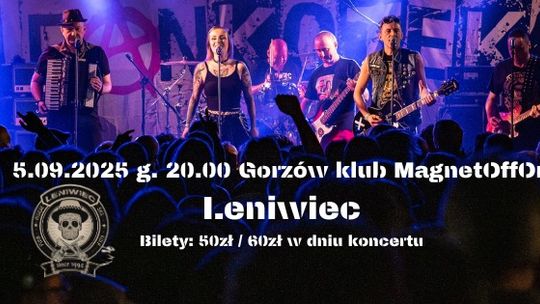 Leniwiec w MagnetOffOnie