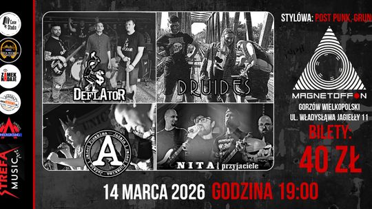 Punkowo-Grungowy gig