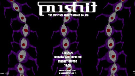 Pushit - Tool tribude band