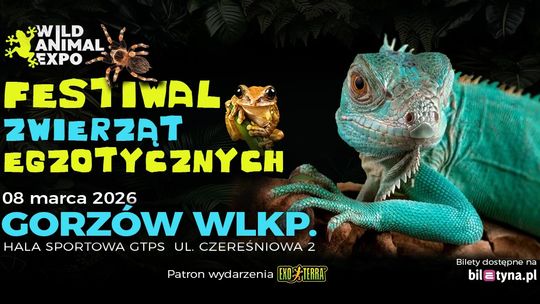 Targi Zwierząt Egzotycznych - wystawa Targi Zwierząt Egzotycznych - wystawa