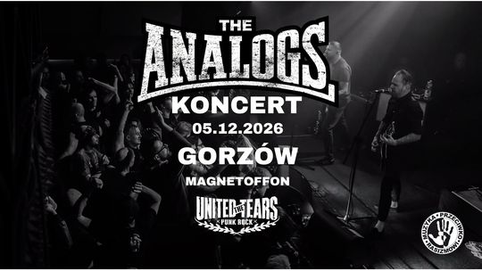 The Analogs w MagnetOffOnie
