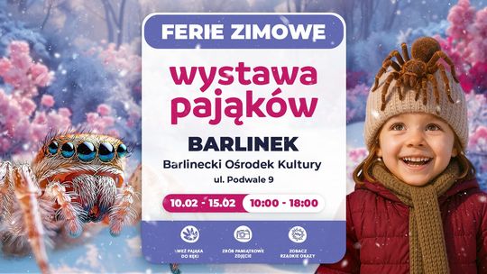 Wystawa Pająków Wystawa Pająków