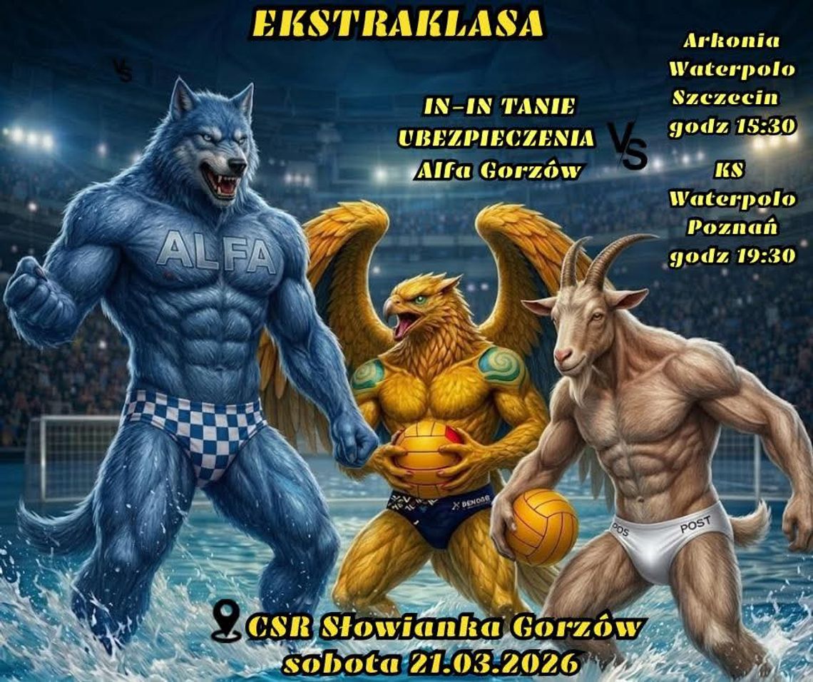 Alfa Gorzów - KS Waterpolo Poznań