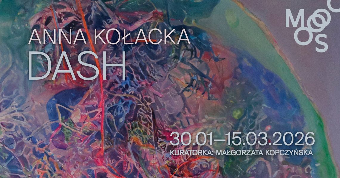 Anna Kołacka - Dash