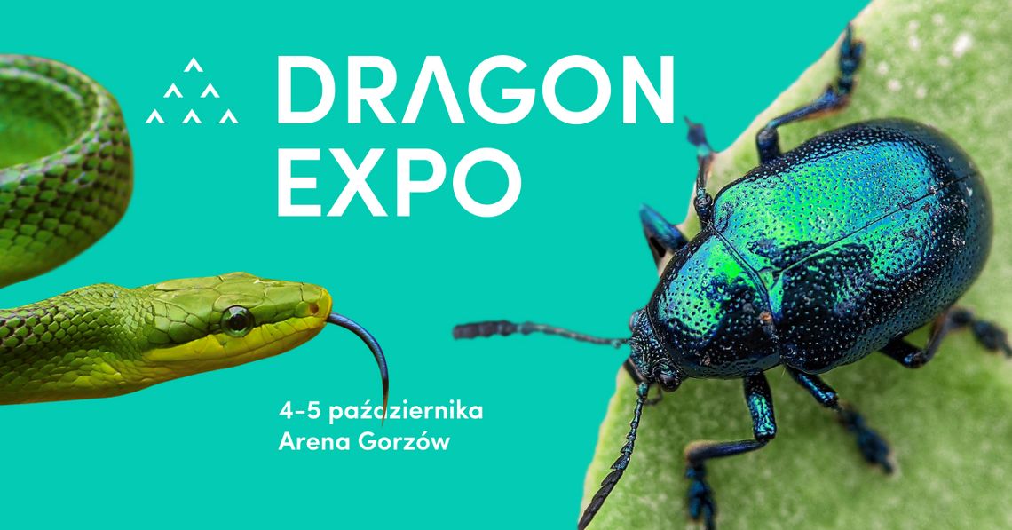 Event Terrarystyczny i Botaniczny Dragon Expo