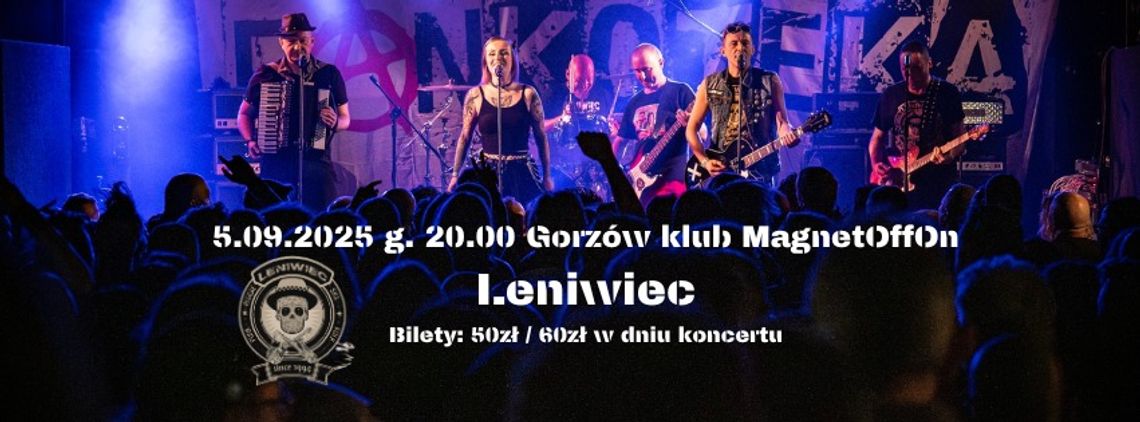 Leniwiec w MagnetOffOnie