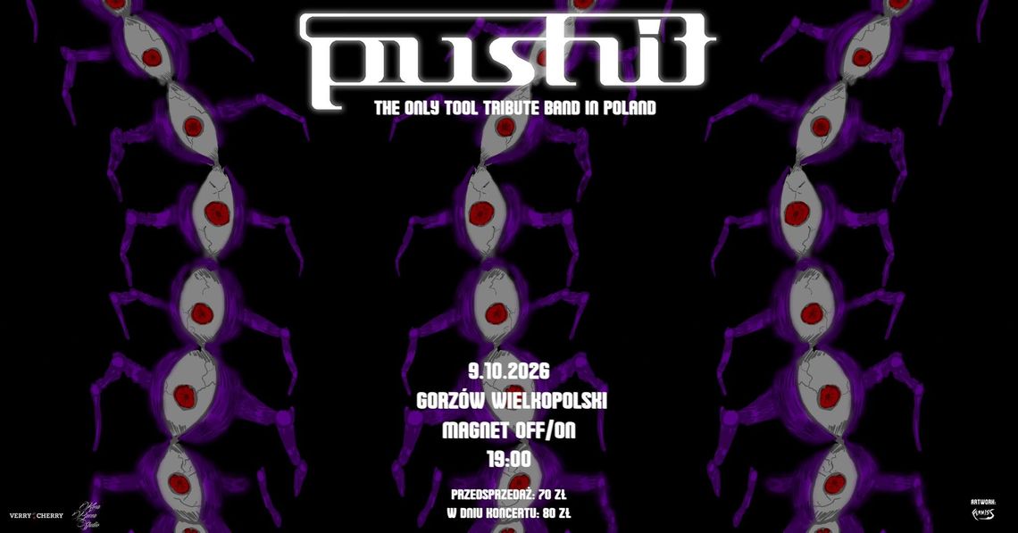 Pushit - Tool tribude band