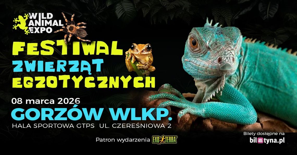Targi Zwierząt Egzotycznych - wystawa Targi Zwierząt Egzotycznych - wystawa