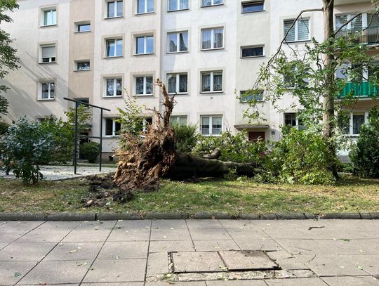 ul. Dzieci Wrzesińskich